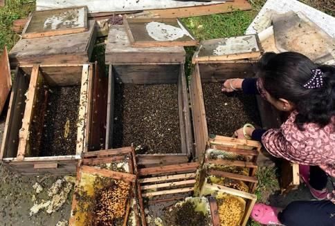 56岁养蜂大妈揭秘:每晚一抹，三天祛斑安全又美白，此生不长斑!