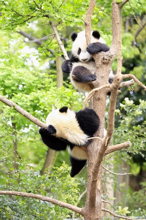 四川这个城市被誉为烟火人间三千年,平原沃野千里,自古富足丰饶