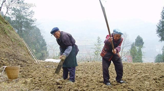  「买房子」十年前，农民赚钱就回村子建房子，现在在城里买房子，农村会消失吗？