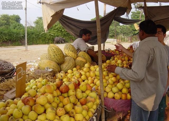 巴基斯坦水果滞销，中国承包了上万吨，这三个国家红了眼？