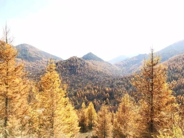 美如川西！重庆私藏世界级景点，金秋美成仙境