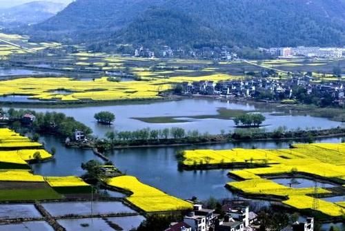  「江苏省」目前最被看好的3座城市，据说会很吃香，你知道是哪座吗？