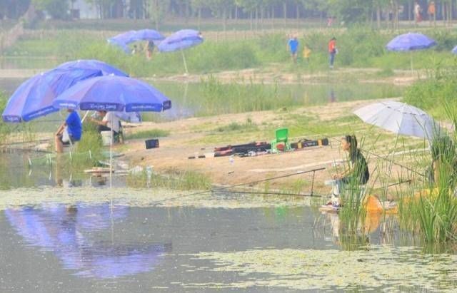  [适合]初夏什么天气适合钓鱼？新手选择晴天，而专家只选择这种天气