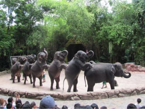 去泰国必须带5000元现金？其实是导游搞的鬼！