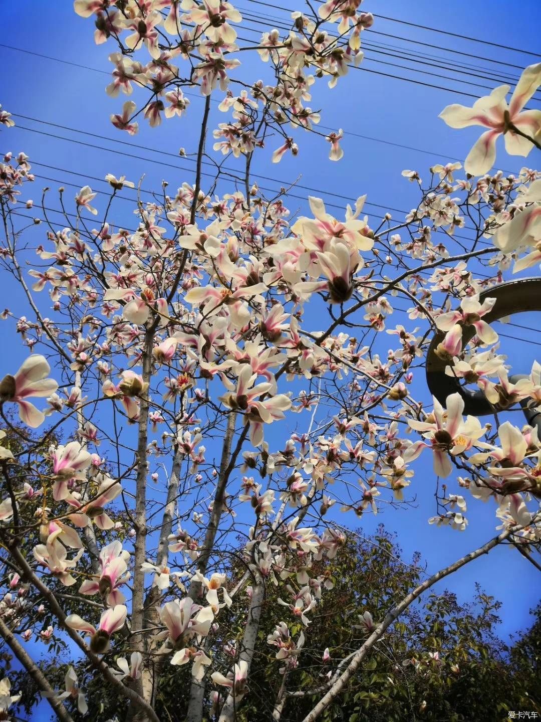 如何做好安全工作