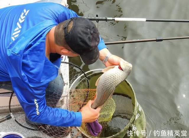 「竞技」咱们所谓的台钓、竞技钓,实际就是“笼中捉鸡”
