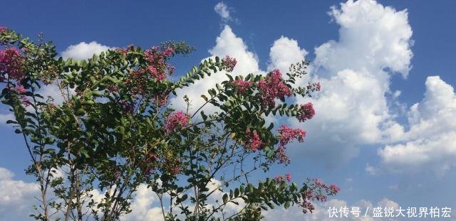 云台山踏秋——立秋后的那一抹姹紫嫣红