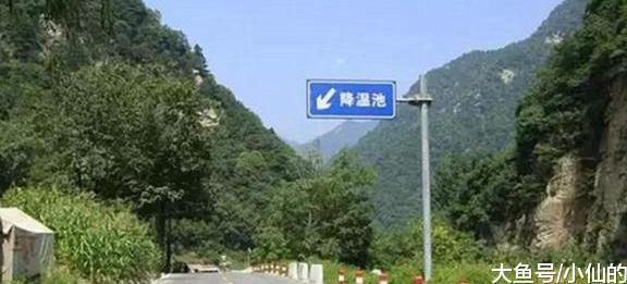 高速上的“降温池”干嘛用? 老司机: 很棒!