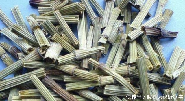 身价|农村一种被忽视的野草,现在身价猛增,一斤可以卖到800元!