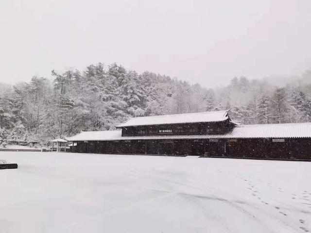 光雾山换上冬装啦！开启巴中“雪国”模式