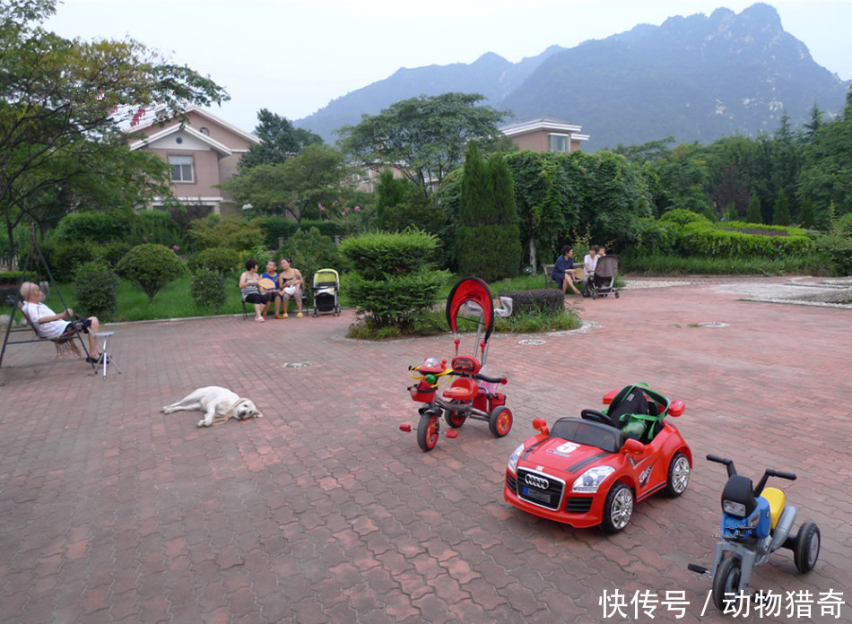  「农民」直击：他们在别墅里享受“隐密”的高质生活，琐事由周