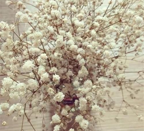  手工@DIY手工制作：用干花做的花艺作品，比鲜花还美！