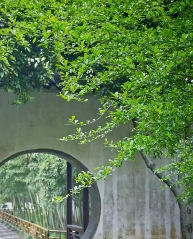  心灵后花园|他是中国历史上最文艺的皇帝，字画双绝，连造的园林都美传千古