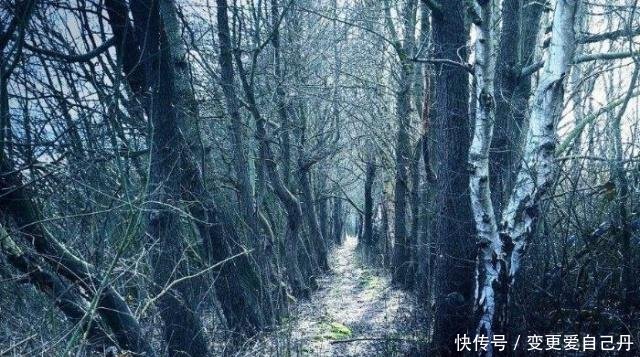 在我国西南山区有条“神秘”之路，荒无人烟，被人类列为“禁区”