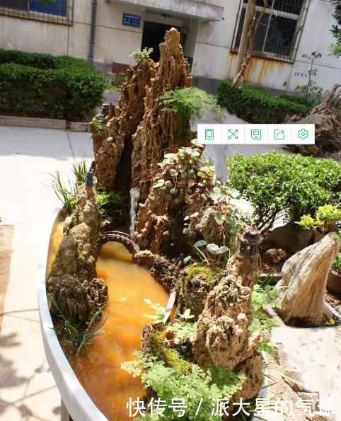 老师傅教你做盆景，从选材到动手，峡谷式山水盆景就这么简单