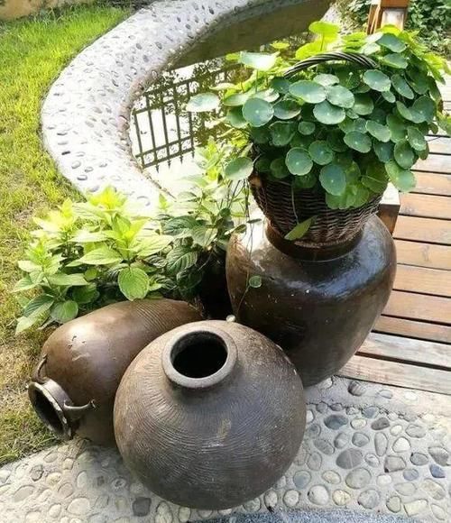  『最合适』江西一位王大爷，用老物件养花，大水缸养荷花，真的超级美