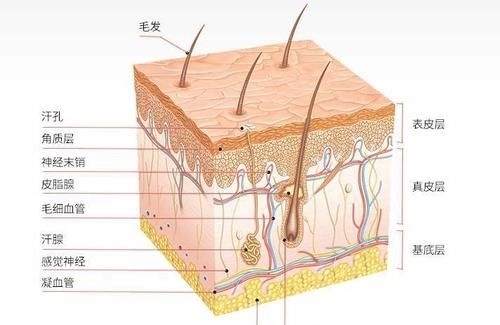 『省钱』想要好皮肤别跟风瞎买乱用!推荐这3种思路,理性买皮肤好很省钱