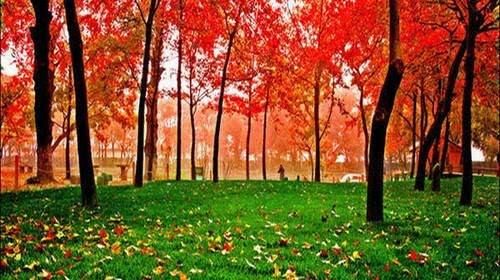 苏州这座山高仅201米，却因范仲淹而声名远播~