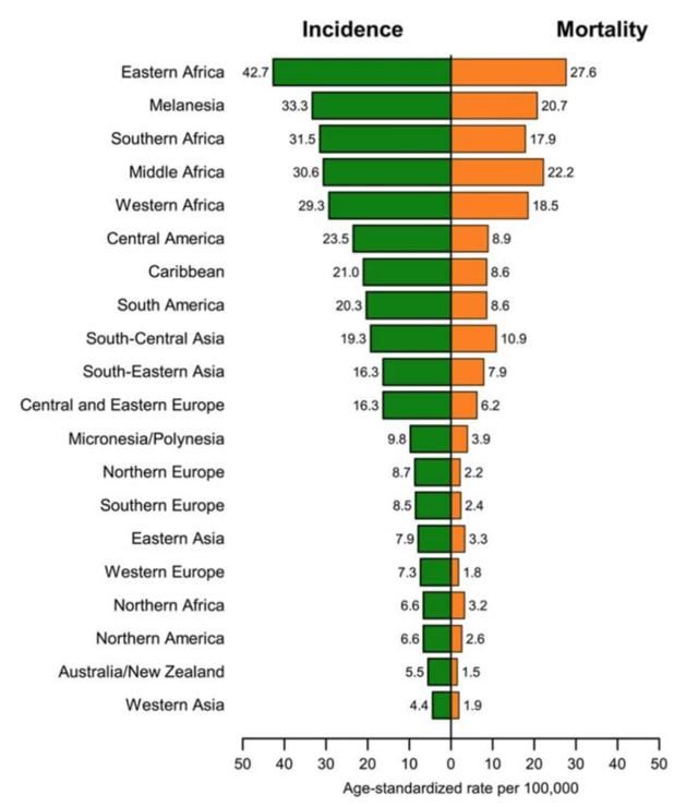 宫颈上皮内瘤变2级会变成宫颈癌吗?BMJ:别急