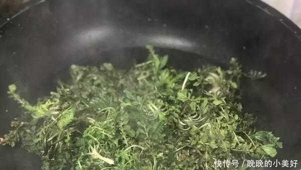 『长寿菜』日本人每天必吃的“长寿菜”,我国产量大却没人吃,含钙比牛奶高