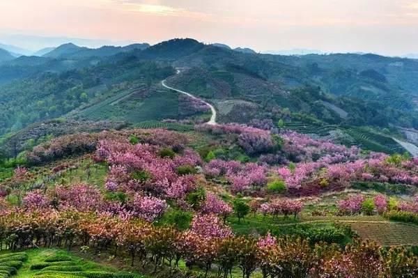 当浙江遇上“世界级风景” 本省朋友可以不用出国旅游啦！