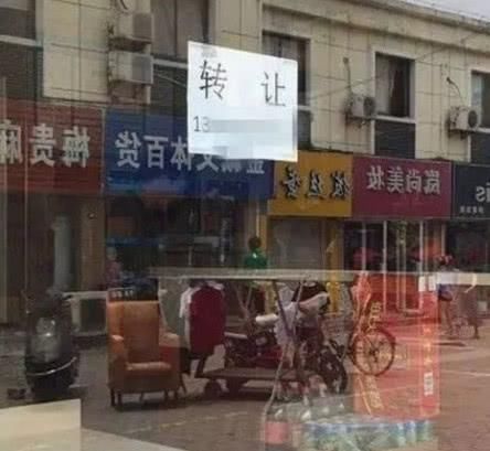 江宁摔狗事件，妻子割腕为狗偿命，网友:网络暴力更加可怕