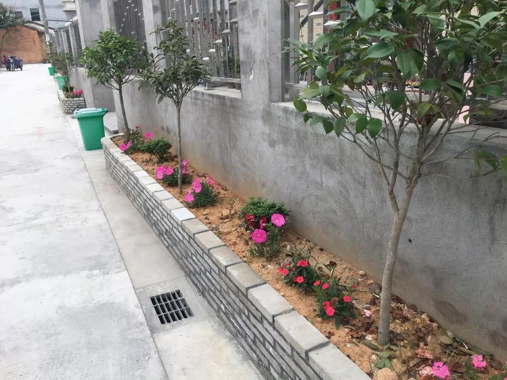 长乐美丽乡村：寻一方村落，等风也等你