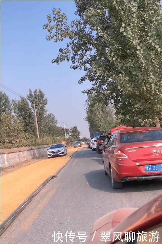  「玉米」河南焦作：村民公路铺满玉米，行驶车辆不断通过，快碾