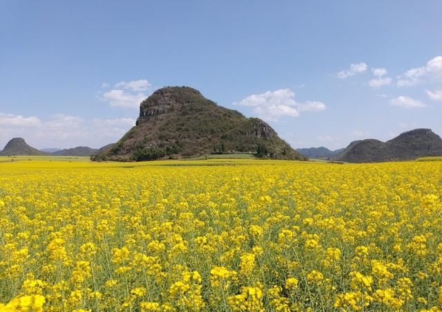 美过婺源！国内最适合全家游自驾赏花地，不收门票，美的鲜为人知