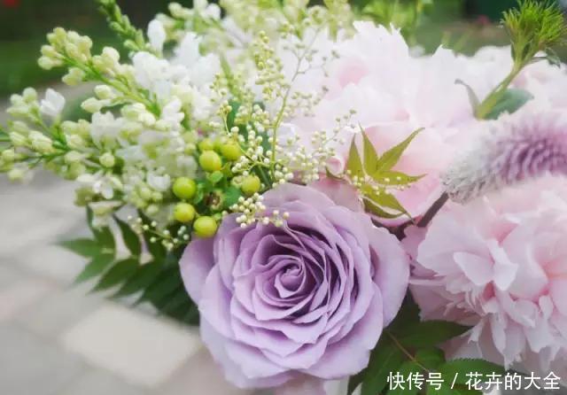 #养花#养花,是一种优雅的修行!