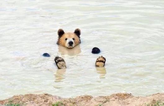 奇妙风光,难得一见