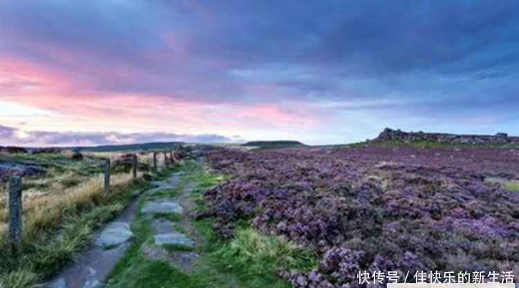 海南最大的荒岛: 万宁达州岛,相见恨晚