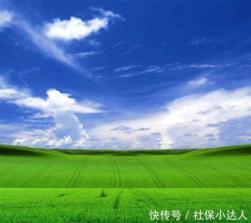  「补缴」单位补缴的社保，需要自己来全额负担合理吗？