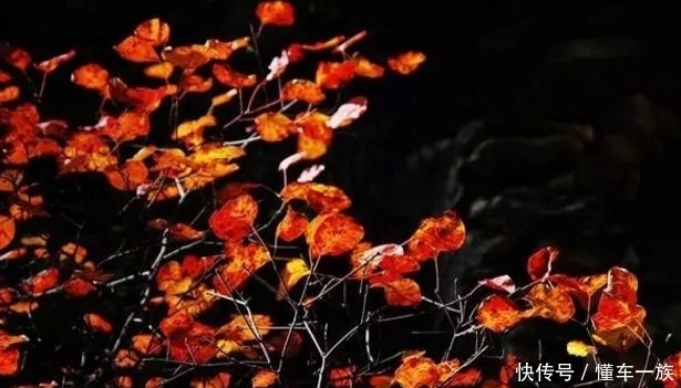 「扩散」一般人我都会告诉他！山西最美的秋色，都藏在这里