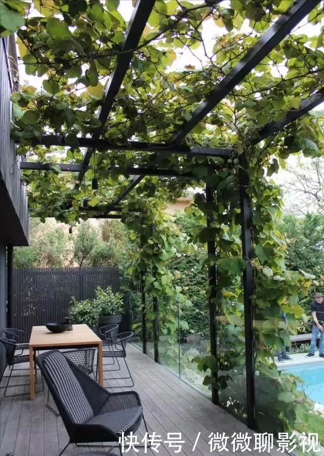 花开花落,夕阳西下你需要一个小院子,一边聊天喝茶,一边观光赏