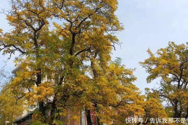 陌上弹指芳菲暮，朱颜辞镜花辞树往来皆过客，何曾有归人