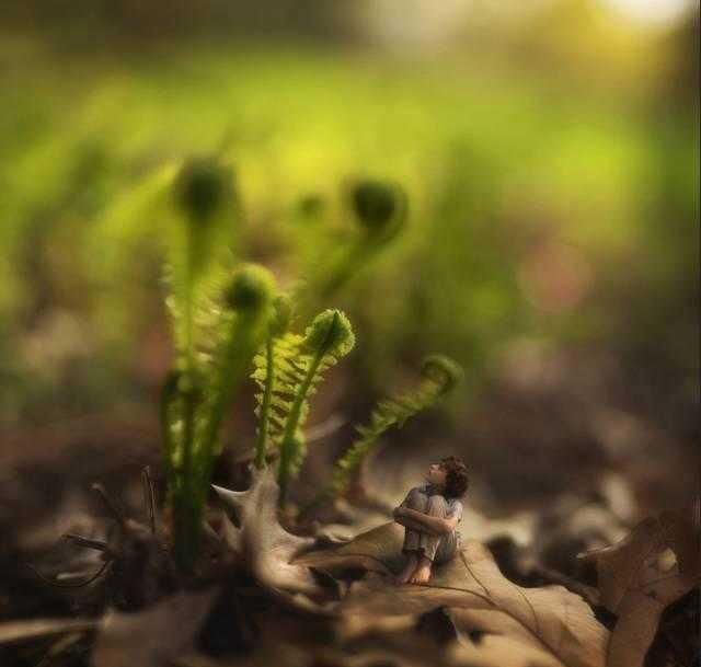 8岁开始摄影，没上过一天学的他，天才创作已超过2亿次点击