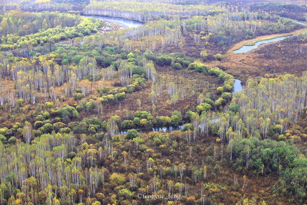 大兴安岭特大火灾澳洲火灾