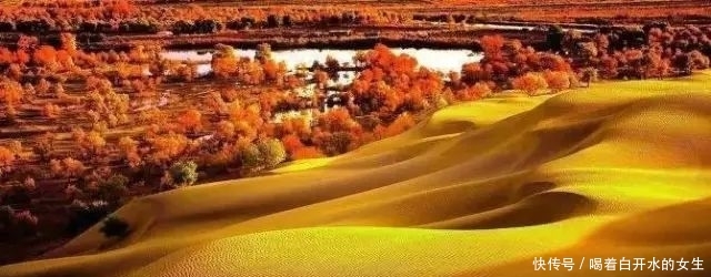 新疆醉美5大胡杨林，简直驶入童话世界，这份攻略请收下！