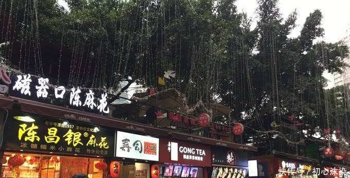 中国之最——最大的直辖市，重庆