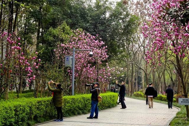 中国“十大幸福感”城市，四川成都上榜