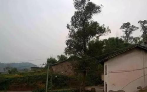  「补贴」2020年，“养老”补贴来了！一类人免交养老保险，农民