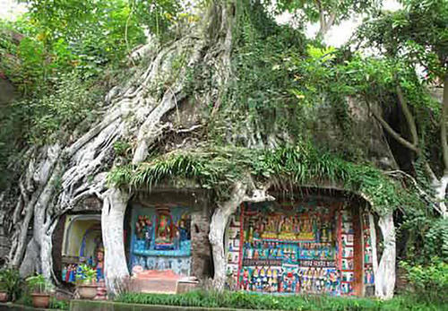 这寺庙一棵古榕树中却藏着1000多尊佛，建在奇山秀水之中！