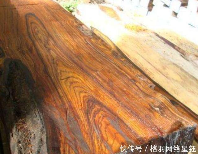  树木：农村一种古老的树，农民不知道珍惜当柴烧，须不知全身上