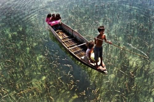 这里是最危险的海域,水下能见度高达72米,美丽的背后却处处危险