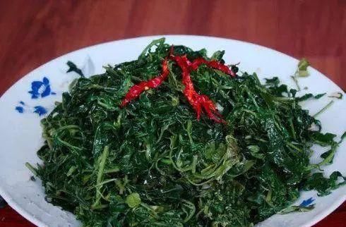 清洗干净■这4种花不仅长得漂亮，掐下叶子就是一盘菜
