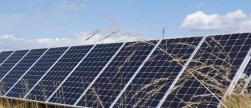  「解决」中国在发电站放了几千只羊，解决世界级难题，西方佩服