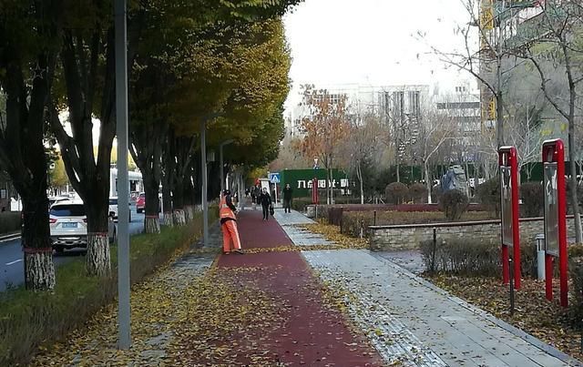 清晨，你看那美丽的背影