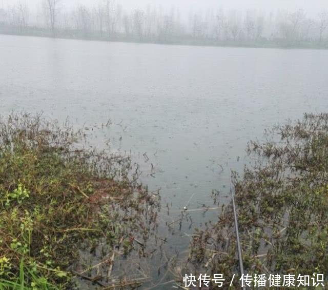  『溶氧量』不喜欢在下雨天钓鱼别怪我没提醒你，下雨天等于“爆护天”