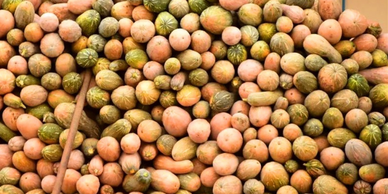  「农民」农村这一作物，客商一毛一斤不愿给，地里堆积如小山，